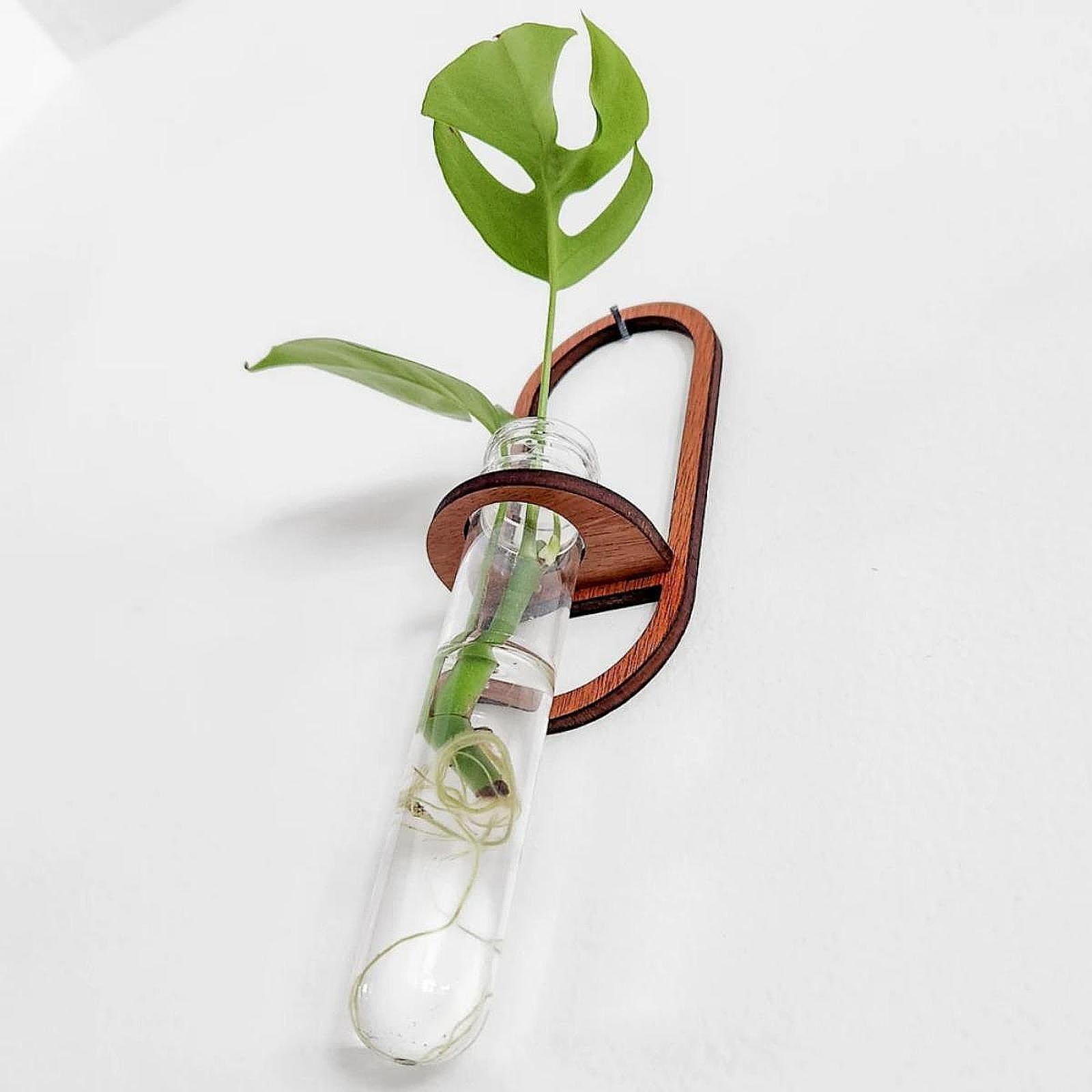 Propagation Station Vase - Drewniana półka ścienna do uprawy roślin