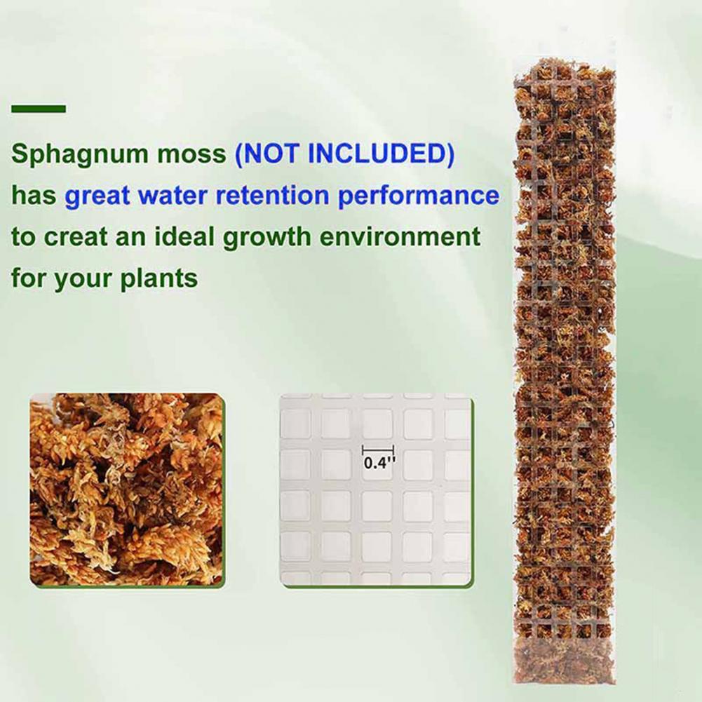 Sphagnum Moss Dry - Rośliny pnące, słup z mchu, uchwyt