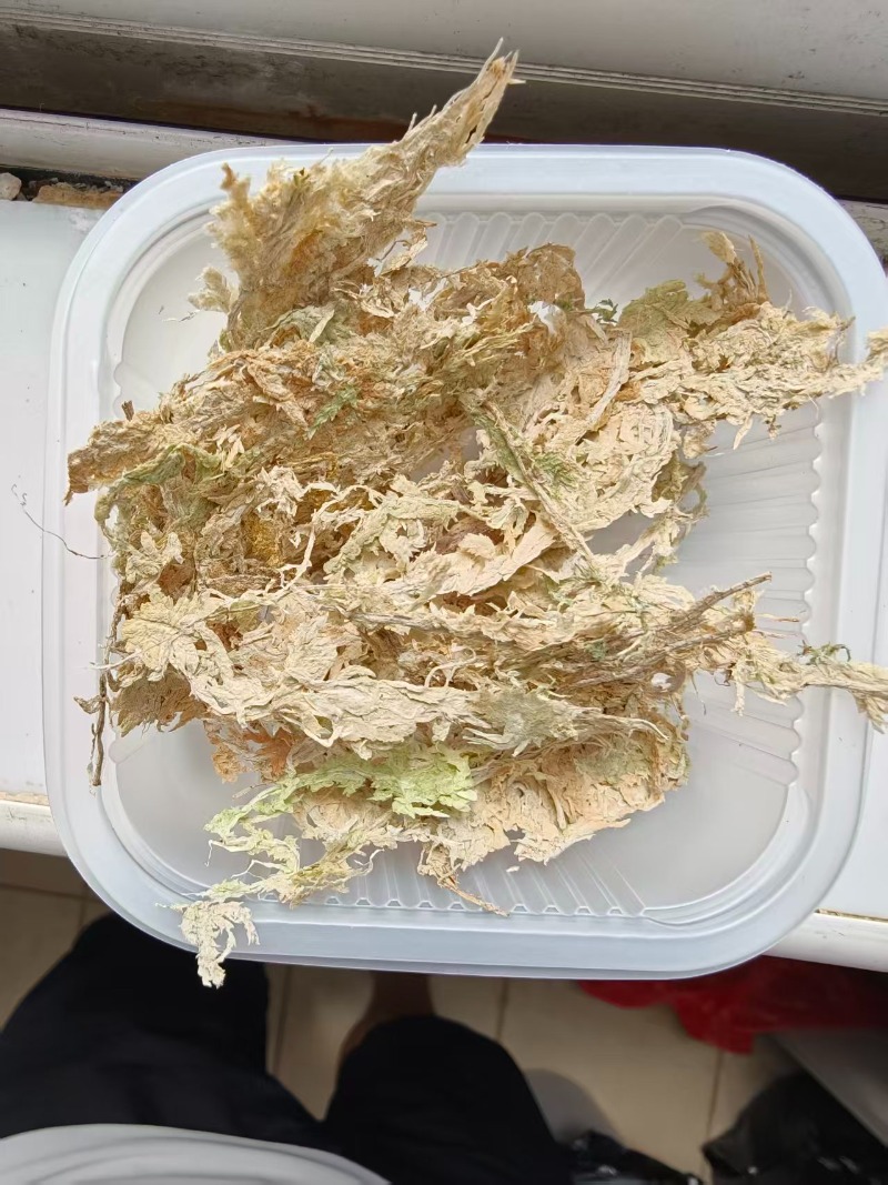 Wysokiej jakości mchy spongowe – Sphagnum Moss Dry recenzja i cena